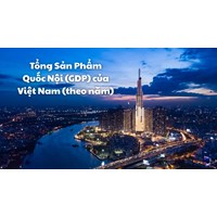 Tổng Sản Phẩm Quốc Nội (GDP) của Việt Nam (theo năm)