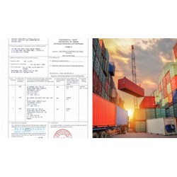 Cập nhật thông tin về mẫu Giấy chứng nhận xuất xứ hàng hóa (C/O) mẫu E