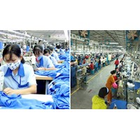 Vai trò của người lao động đối với giá trị thặng dư?
