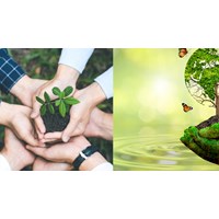 Các trường hợp được hoàn thuế bảo vệ môi trường theo quy định mới