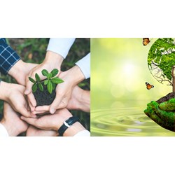 Các trường hợp được hoàn thuế bảo vệ môi trường theo quy định mới