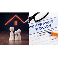 Đại diện tổ chức tương hỗ cung cấp bảo hiểm vi mô quyết định nội dung gì?