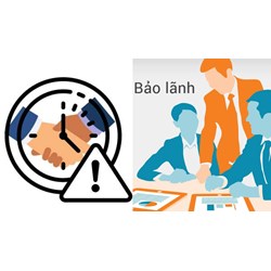 Bên bảo lãnh có  thể cam kết bảo lãnh toàn bộ phần nghĩa vụ không?