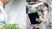 Các thao tác trong phòng xét nghiệm an toàn sinh học cấp 1