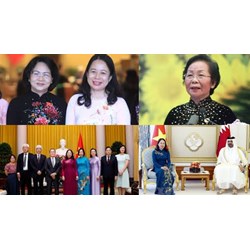 Quy định về quyền hạn của Phó Chủ tịch nước như thế nào?