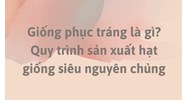 Giống phục tráng là gì? Quy trình sản xuất hạt giống siêu nguyên chủng