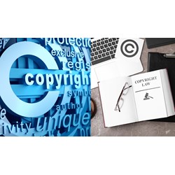 Em hãy cho biết những hành vi nào sau đây vi phạm quyền tác giả? Lớp 10