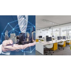 Văn phòng đại diện có được tham gia đấu thầu hay không?