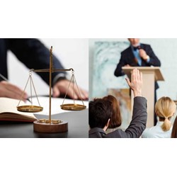 Trong phiên đấu thầu công ty mẹ có thể cho công ty con mượn năng lực để tham gia không?
