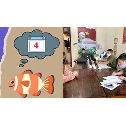 Ngày Cá tháng Tư đăng tin sai sự thật có bị phạt hành chính không?