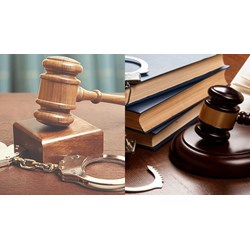 Người cản trở hoạt động đấu thầu bị truy cứu trách nhiệm hình sự?