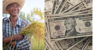 Nông dân vay 100 triệu phát triển nông nghiệp phải có tài sản bảo đảm?
