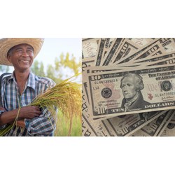 Nông dân vay 100 triệu phát triển nông nghiệp phải có tài sản bảo đảm?