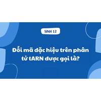Đối mã đặc hiệu trên phân tử tARN được gọi là?