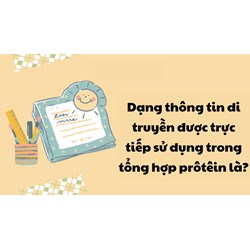 Dạng thông tin di truyền được trực tiếp sử dụng trong tổng hợp prôtêin là?