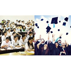 Các hình thức đào tạo trình độ Đại học hiện nay thế nào?