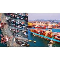 Thông báo sử dụng hàng hóa miễn thuế nhập khẩu phải làm định kỳ?