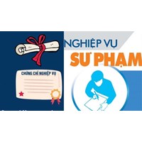 Thẩm quyền ban hành chương trình bồi dưỡng nghiệp vụ sư phạm