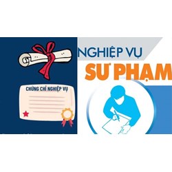 Thẩm quyền ban hành chương trình bồi dưỡng nghiệp vụ sư phạm