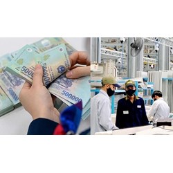 Sửa quy định về thang bảng lương công ty TNHH một thành viên do Nhà nước nắm 100% vốn
