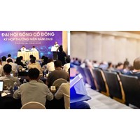 Năm tài chính kết thúc 31/12 họp đại hội đồng cổ đông thường niên khi nào?