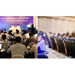 Năm tài chính kết thúc 31/12 họp đại hội đồng cổ đông thường niên khi nào?