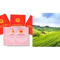 Các trường hợp không cấp Giấy chứng nhận quyền sử dụng đất mới nhất
