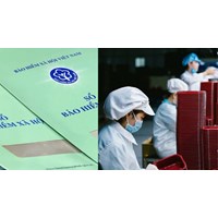 Các loại bảo hiểm bắt buộc công ty phải đóng cho người lao động?