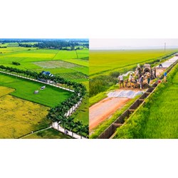 Quy định về tiêu chí nông thôn mới bao gồm những gì?