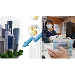Công ty tài chính tổng hợp góp vốn theo Luật Các tổ chức tín dụng 2024?