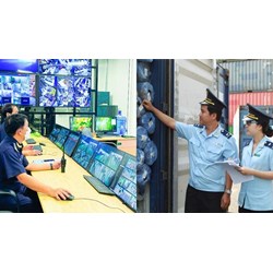 Công việc của quản trị mạng trong ngành Hải quan như thế nào?