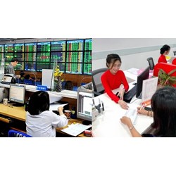 Công ty chứng khoán phải gửi báo cáo quản trị rủi ro vào thời gian nào?