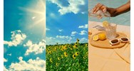 Dàn ý Tả mùa hè chi tiết, hay nhất - Tập làm văn lớp 5