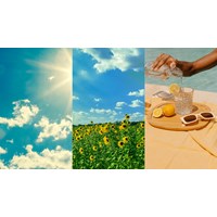 Dàn ý Tả mùa hè chi tiết, hay nhất - Tập làm văn lớp 5