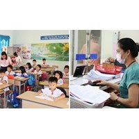 Danh mục vị trí việc làm, định mức người làm việc trong trường tiểu học công lập