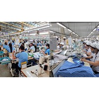 Làm hư hỏng tài sản của doanh nghiệp có phải bồi thường không?