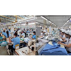 Làm hư hỏng tài sản của doanh nghiệp có phải bồi thường không?