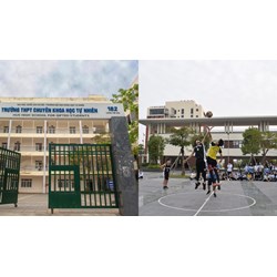 Những gì được xem là tài sản của trường THPT chuyên?