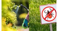 Các hoạt chất mới bị cấm dùng trong chế phẩm diệt côn trùng