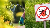 Các hoạt chất mới bị cấm dùng trong chế phẩm diệt côn trùng
