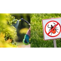 Các hoạt chất mới bị cấm dùng trong chế phẩm diệt côn trùng
