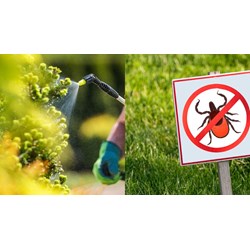 Các hoạt chất mới bị cấm dùng trong chế phẩm diệt côn trùng