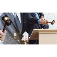 Có bằng thạc sĩ kinh tế có được làm đấu giá viên hay không?