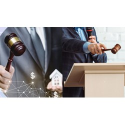 Có bằng thạc sĩ kinh tế có được làm đấu giá viên hay không?