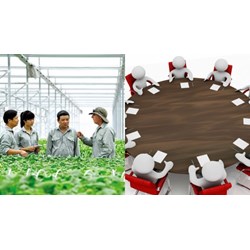 Điều kiện của thành viên Hội đồng quản trị hợp tác xã