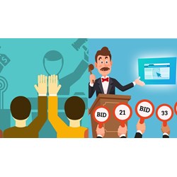 Quy trình thủ tục thu hồi chứng chỉ hành nghề đấu giá