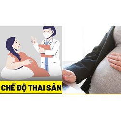 Được hưởng chế độ thai sản khi sinh con khi công ty nợ tiền bảo hiểm?