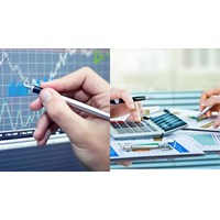 Sổ kế toán tổng hợp của công ty chứng khoán gồm những loại sổ nào?