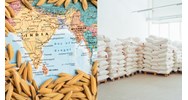 Trách nhiệm kiểm tra thực hiện pháp luật về kinh doanh xuất khẩu gạo?