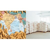 Trách nhiệm kiểm tra thực hiện pháp luật về kinh doanh xuất khẩu gạo?